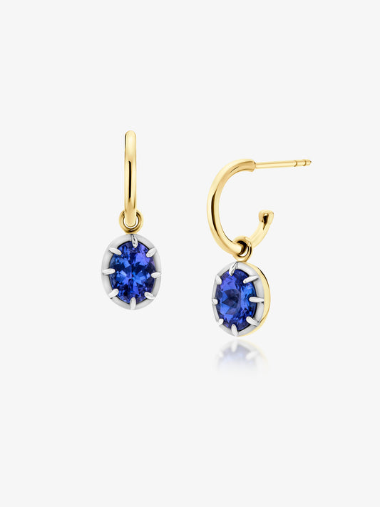2.07ct Tanzanite Tropical Earrings